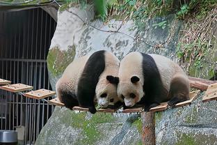 大概率续约！Stein：湖人预计基德和卢都不会成为自由身